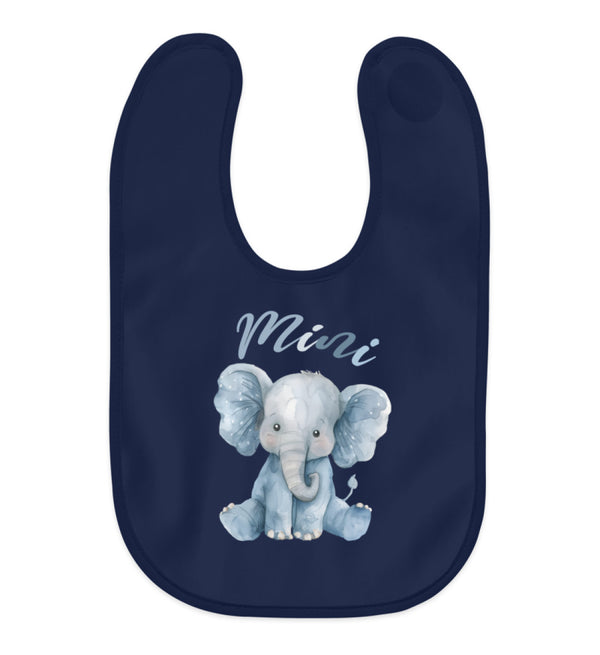 New French Navy-1676